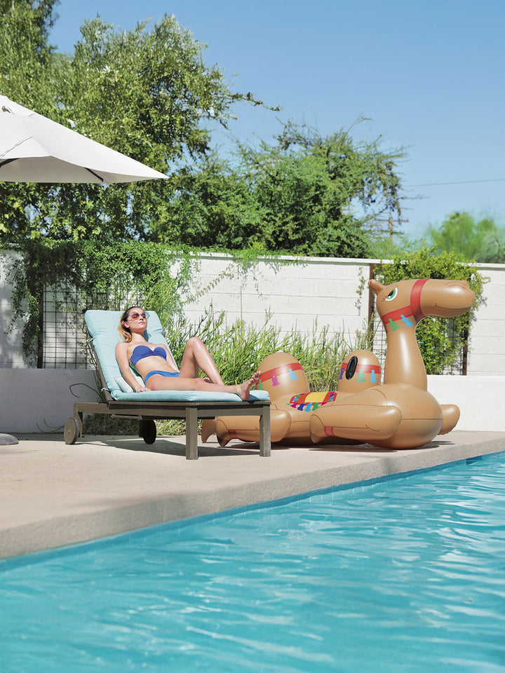 Flotador Camello Inflable Gigante Bestway Ride-On para Alberca